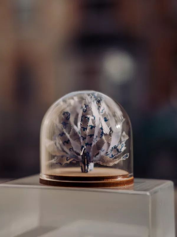 1000天1000只纸鹤，他折的纸鹤让自己走出抑郁……