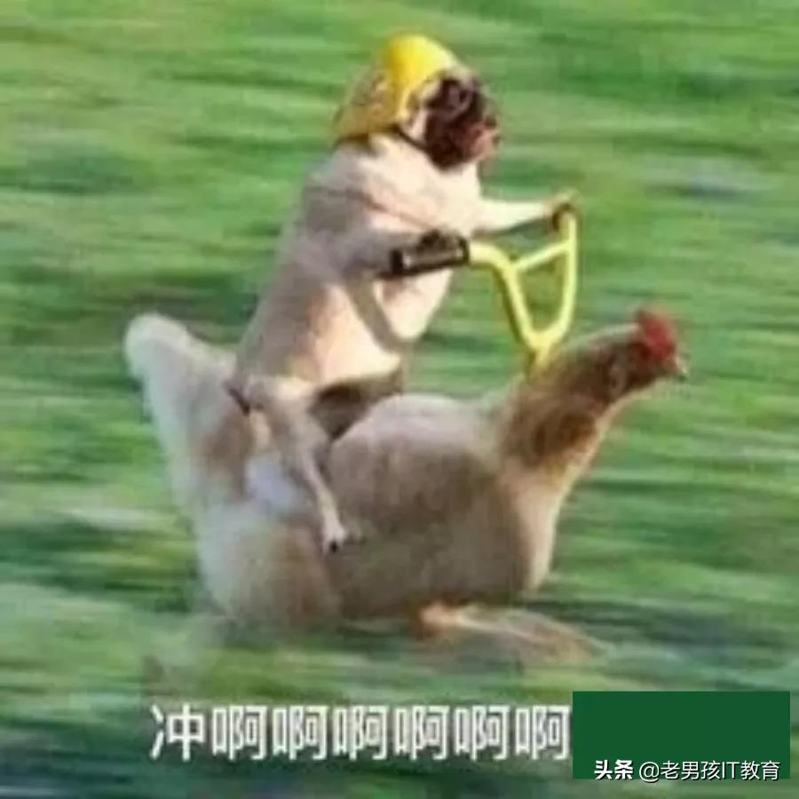 github开源抢票插件,抢12306火车票的插件