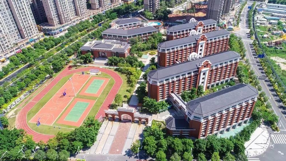 牢记使命不忘初心主题教育专栏,不忘初心牢记使命主题教育信息