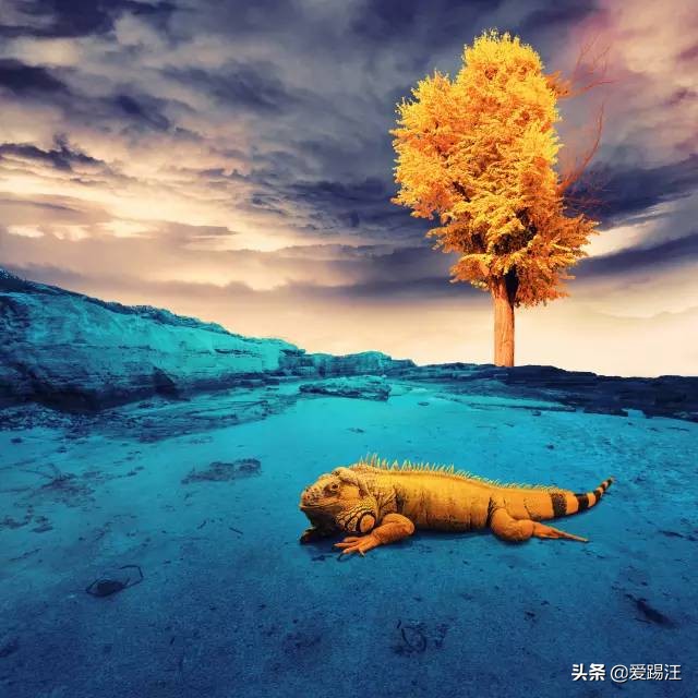 ps后期合成梦幻大场景,ps梦幻后期调色