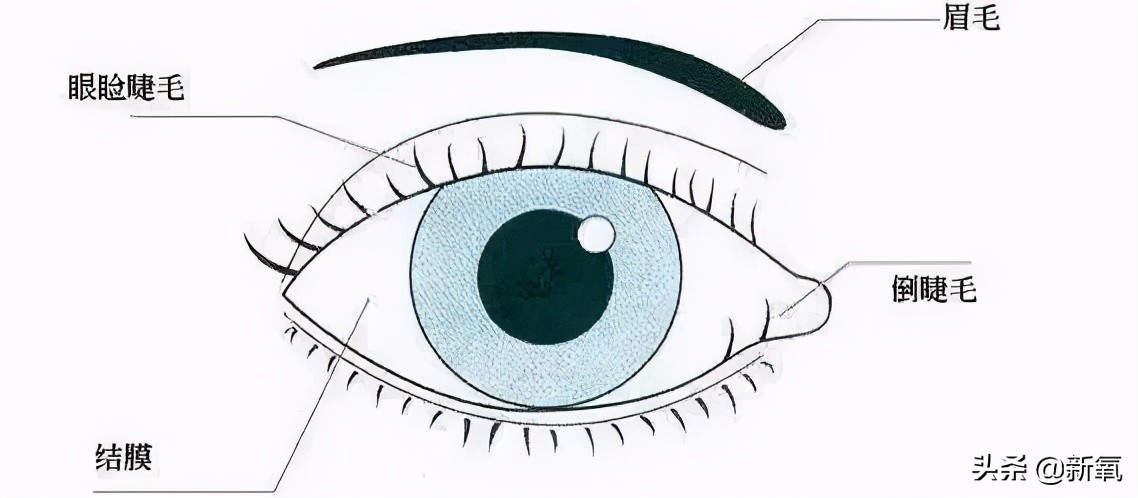 宋祖儿港风绝美照片,宋祖儿侧颜简直太美啦