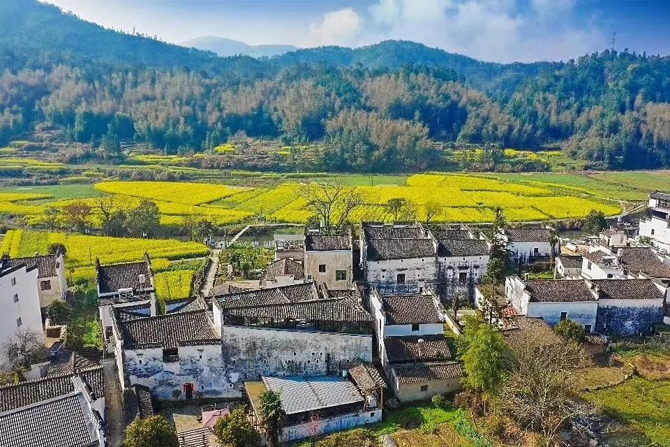 菜吧生意好做吗,菜吧民宿是真的吗