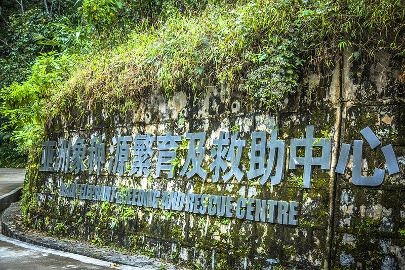 到西双版纳过大年，六日出行超详细吃，住，行攻略