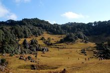 冬季四川哪里暖和适合旅游,四川最适合避寒的小县城