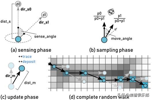 小小黏菌，大大智慧：预测星系间暗物质网络的黏菌算法