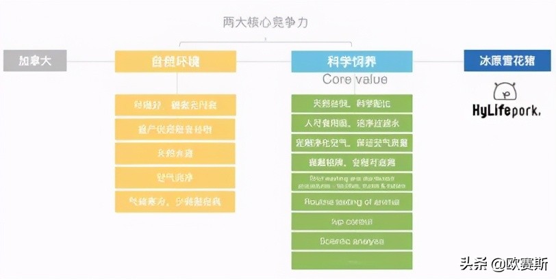 欧赛斯的产品怎么样,欧赛斯超级案例详解