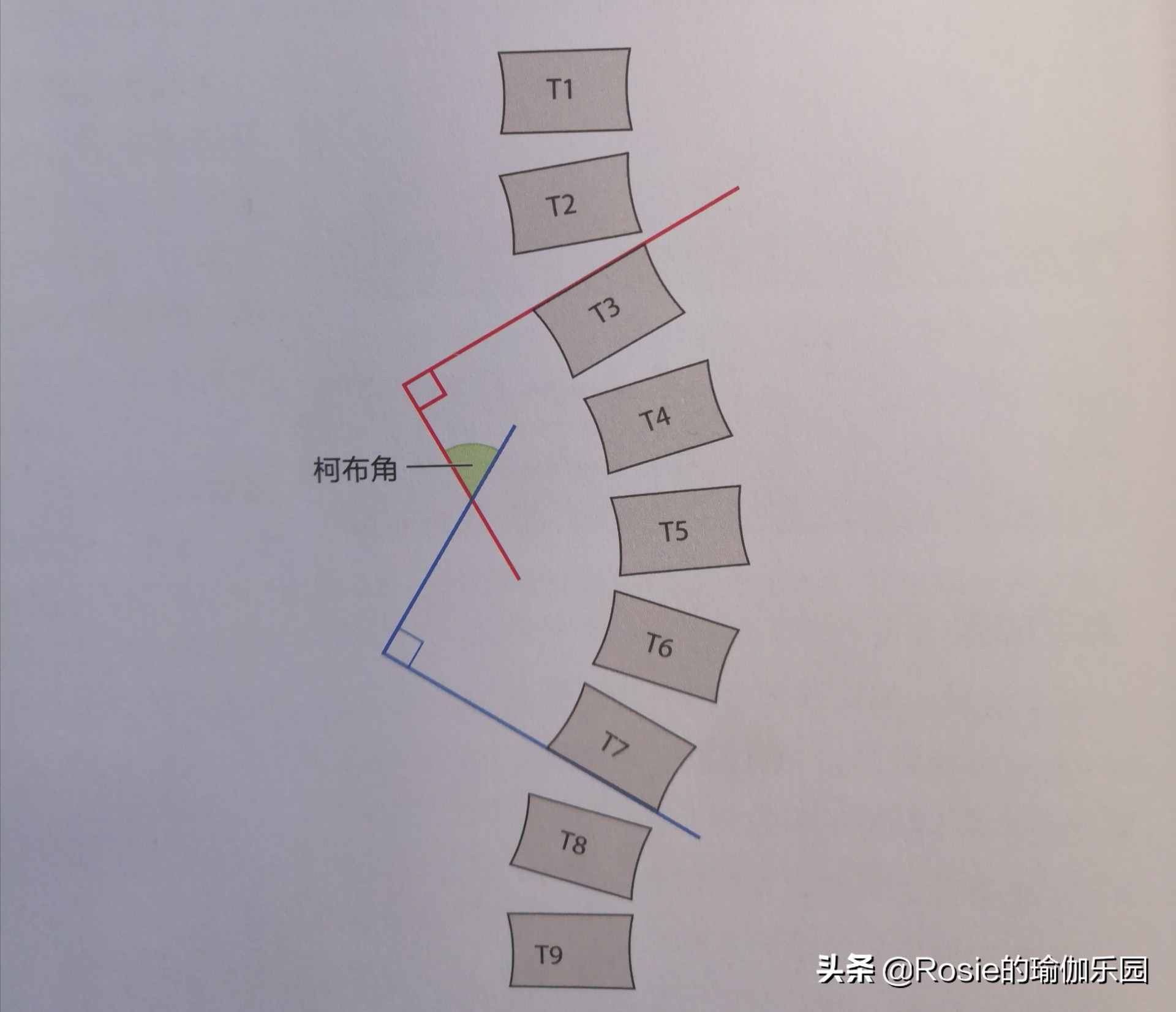 长短腿高低肩驼背头前倾,怎样改善高低肩和驼背学生