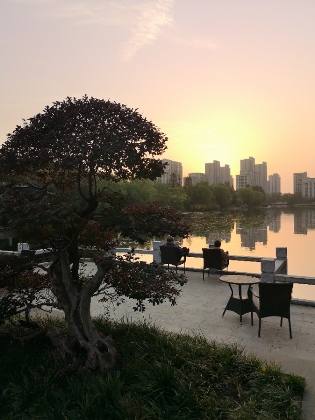 乌镇雅园养老的运营模式,乌镇雅园养老房值得购买吗