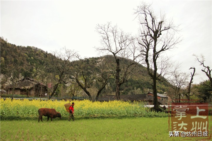 赏古村,赏古村落风景