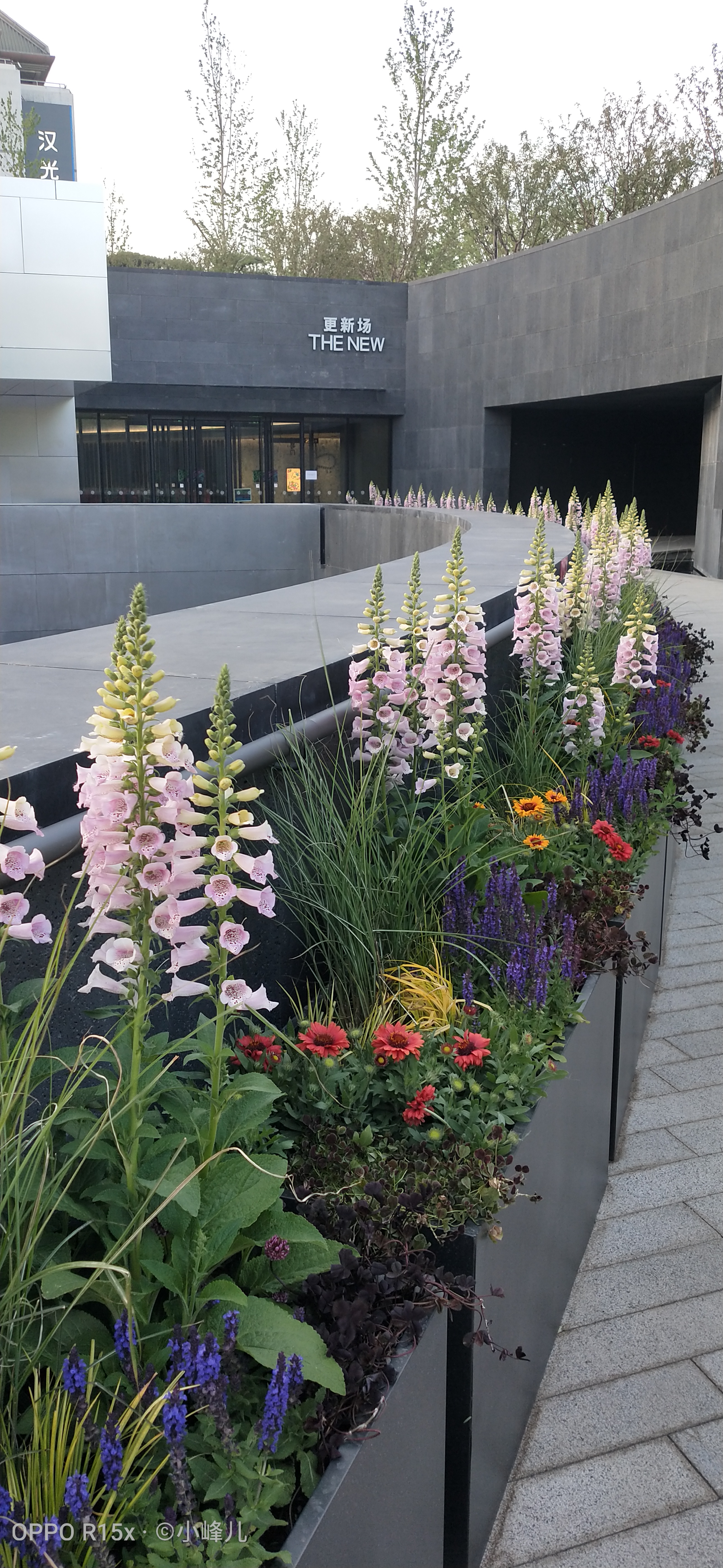 西单更新街有什么,西单更新场和大悦城