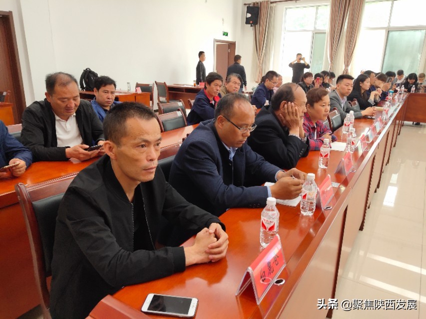 县政府助力樱桃销售,电商平台帮助果农销售樱桃