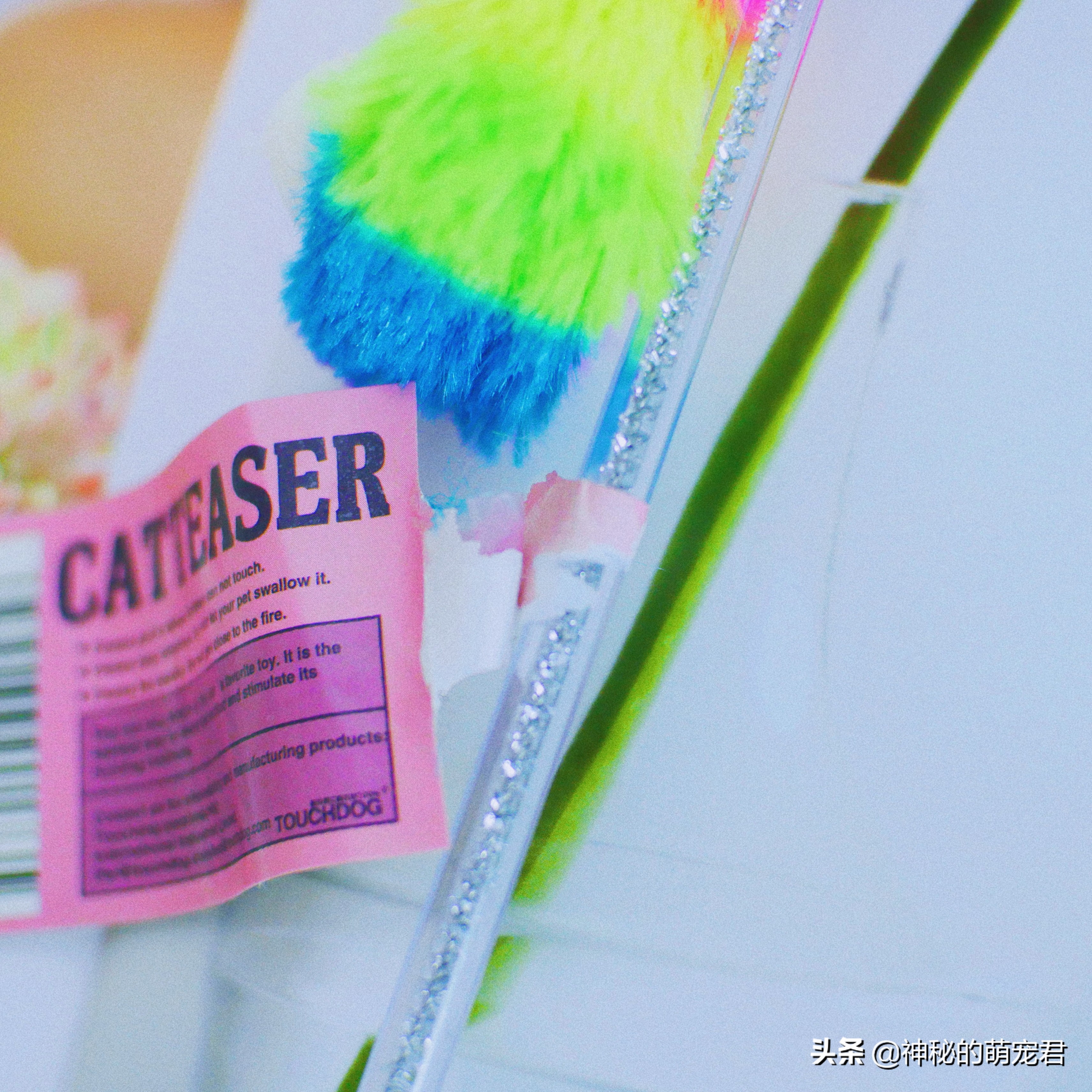 什么逗猫棒猫咪会玩,怎么做猫咪玩的逗猫棒