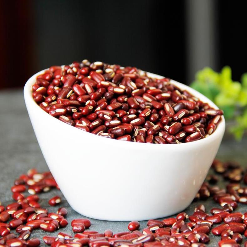 脾胃虚湿气重最好最快的祛湿方法,脾胃虚寒湿气重吃什么调理