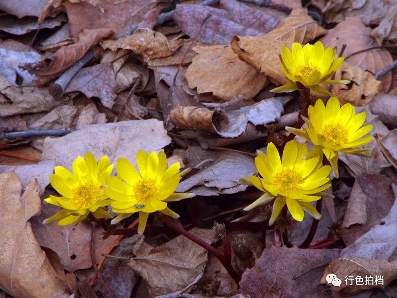 呵护手心里的幸福,呵护手心的小宝贝