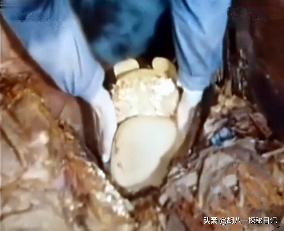 考古发现明朝皇帝帽,明朝出土皇帝戴的帽子