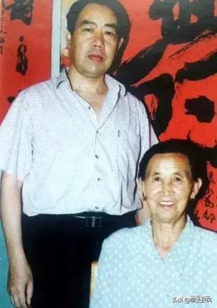 贾平凹我的小学,小学学过贾平凹的课文有哪些