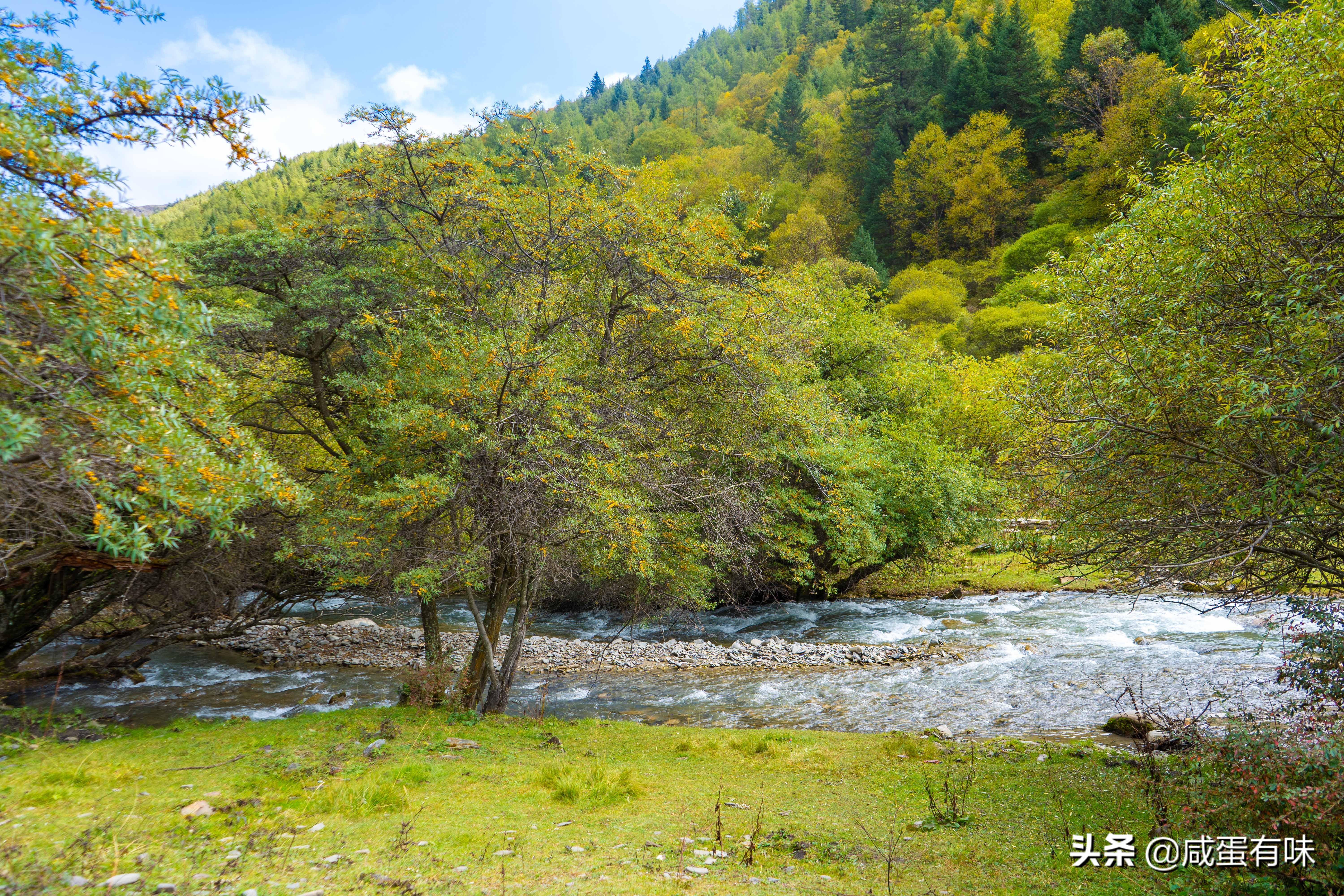 你好，夹金山：让我遇见不一样的你