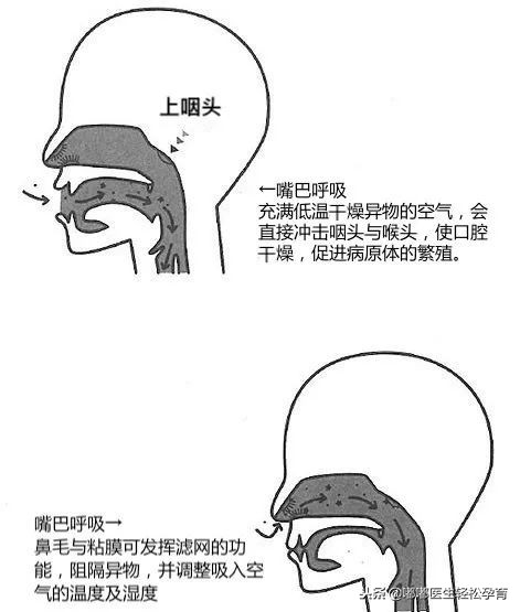 双胞胎姐姐长歪了！只因她用错呼吸方式!