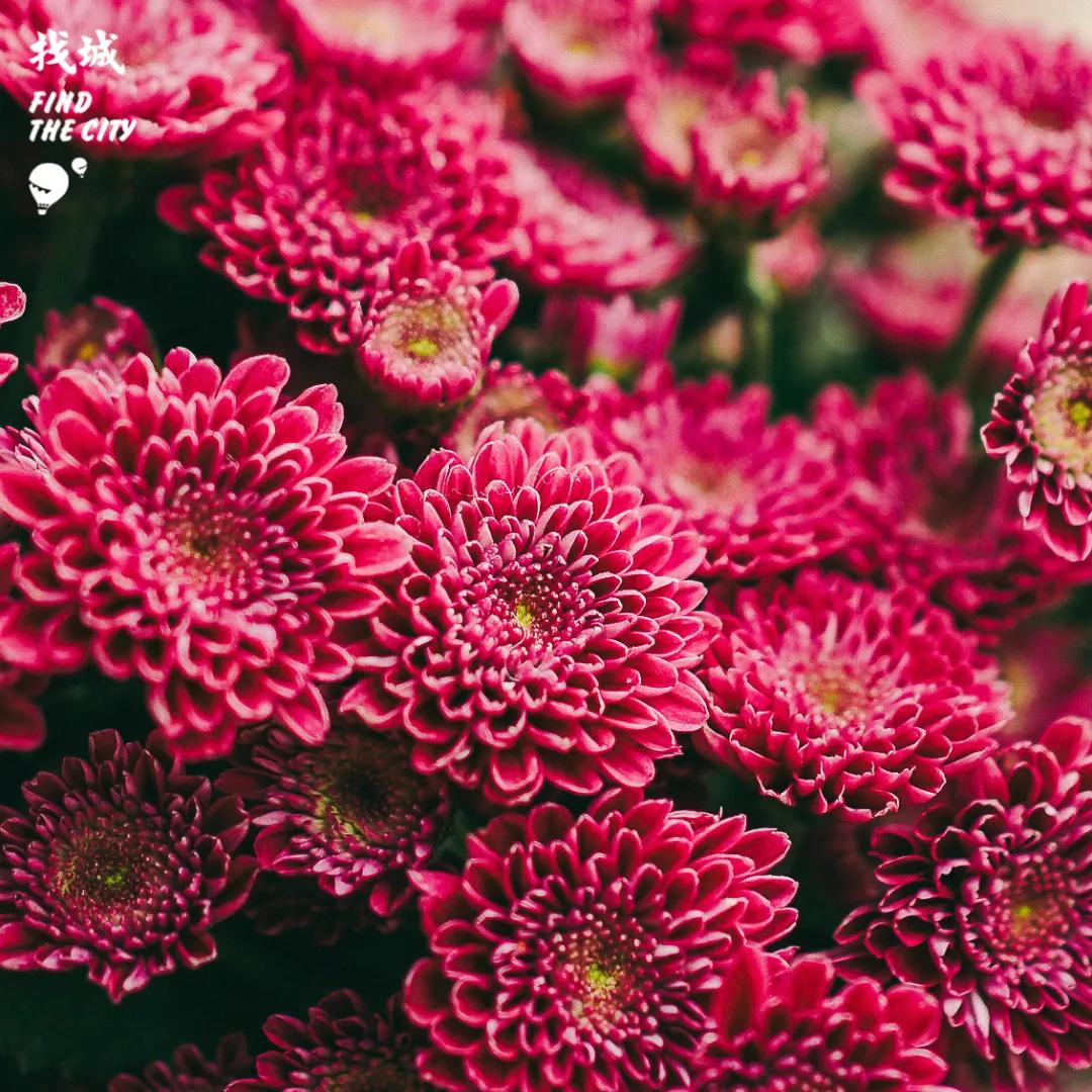 南宁拿货最便宜的市场,南宁最便宜的东西批发市场