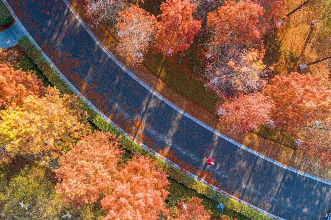 @张家港人，心动了！快走！