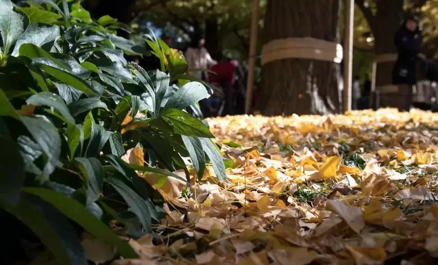 无聊的时候做什么才有意思,无聊时要做的十件事