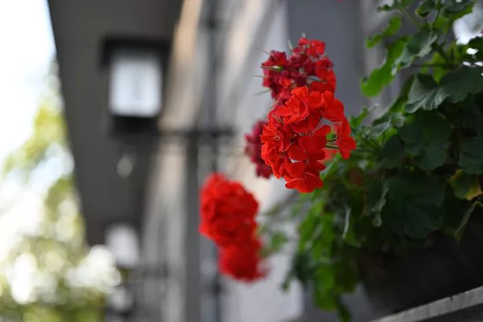 尼康z7ii24-70f4拍星空,尼康全画幅z7