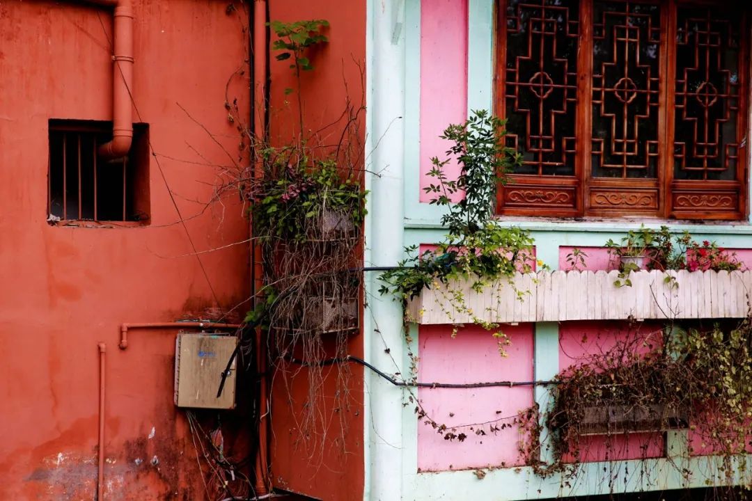 津门网金熙男：彩色小镇