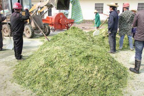 农村成本低利润高的项目有哪些,农村适合做小成本的项目