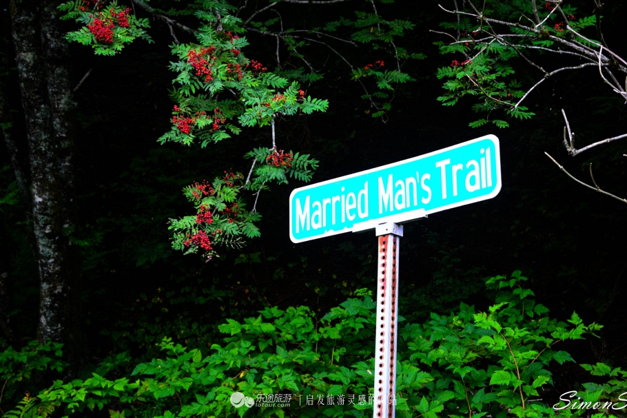 阿拉斯加：男人和三文鱼都赶来配种的“*灯区红**“