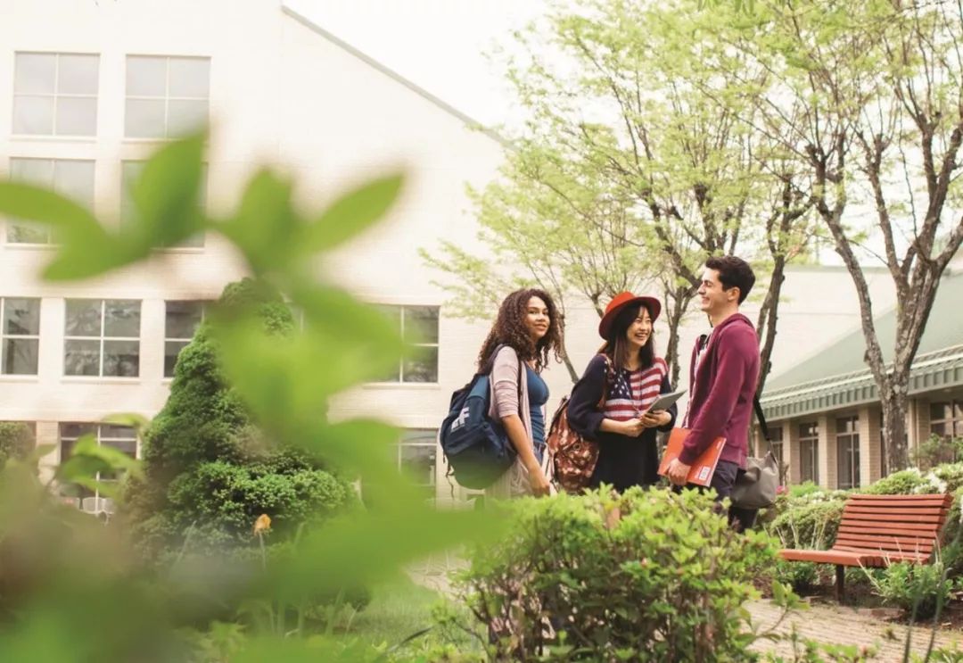 美国藤校夏校的报名要求,美国藤校夏校