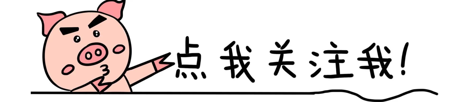 盘点a股最好九只科技股,盘点a股近些年的10倍股