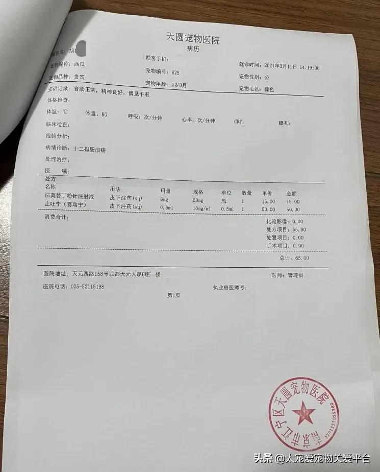 十二指肠溃疡丨太宠爱理赔案例南京天圆宠物医院