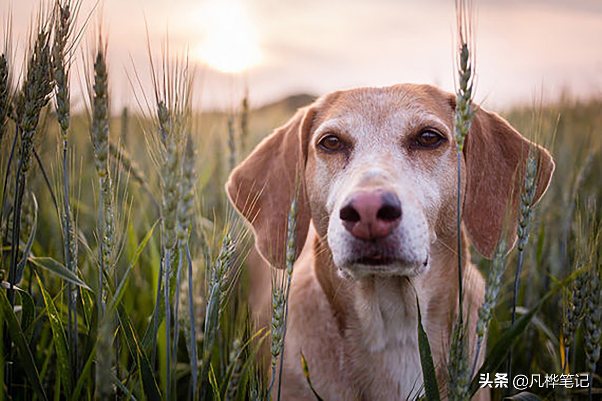 让照片清晰锐利,让照片清晰的滤镜方法