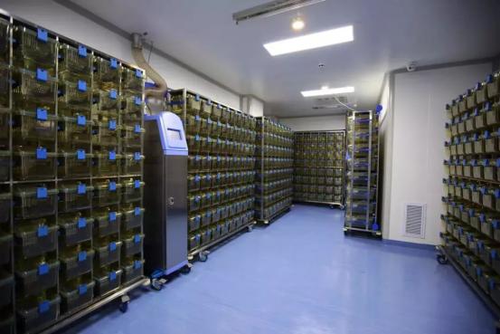 涓北澶у闄勫睘绗竴鍖婚櫌,涓北澶у闄勫睘绗叓鍖婚櫌