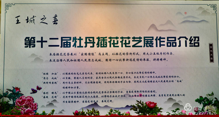 看洛阳牡丹花卉节,洛阳古都牡丹花展