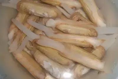 渔民海鲜大全,渔民整理的海鲜河鲜大全