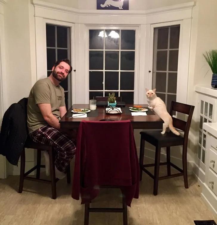 氛围感治愈温柔猫咪图片2张,带有人物与猫咪的温馨治愈图