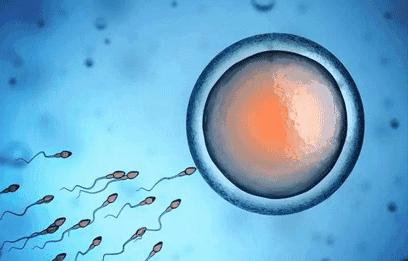 英国女子生21个孩子,英国44岁妈妈再生22个孩子