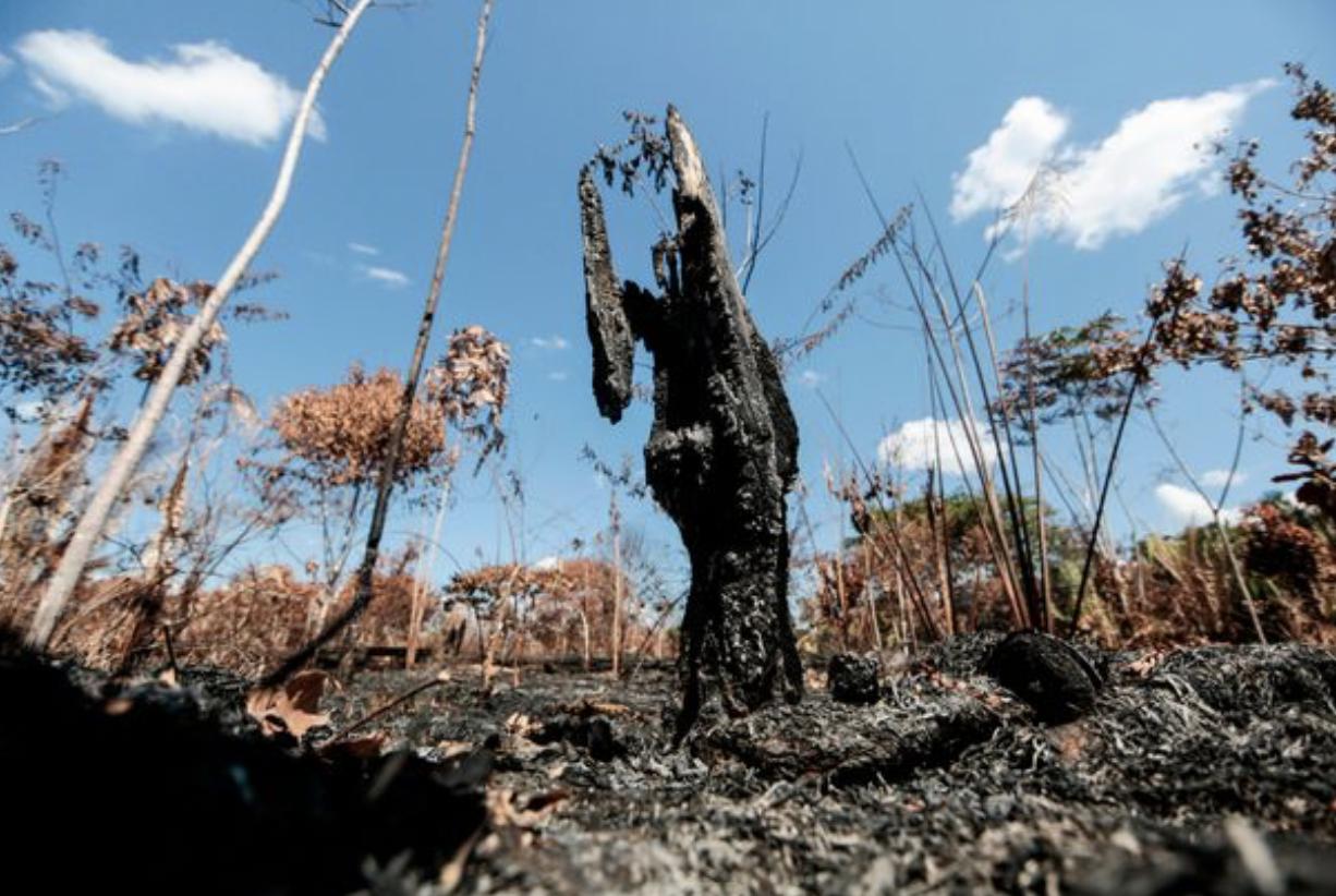 生灵涂炭,生灵被涂炭完整视频