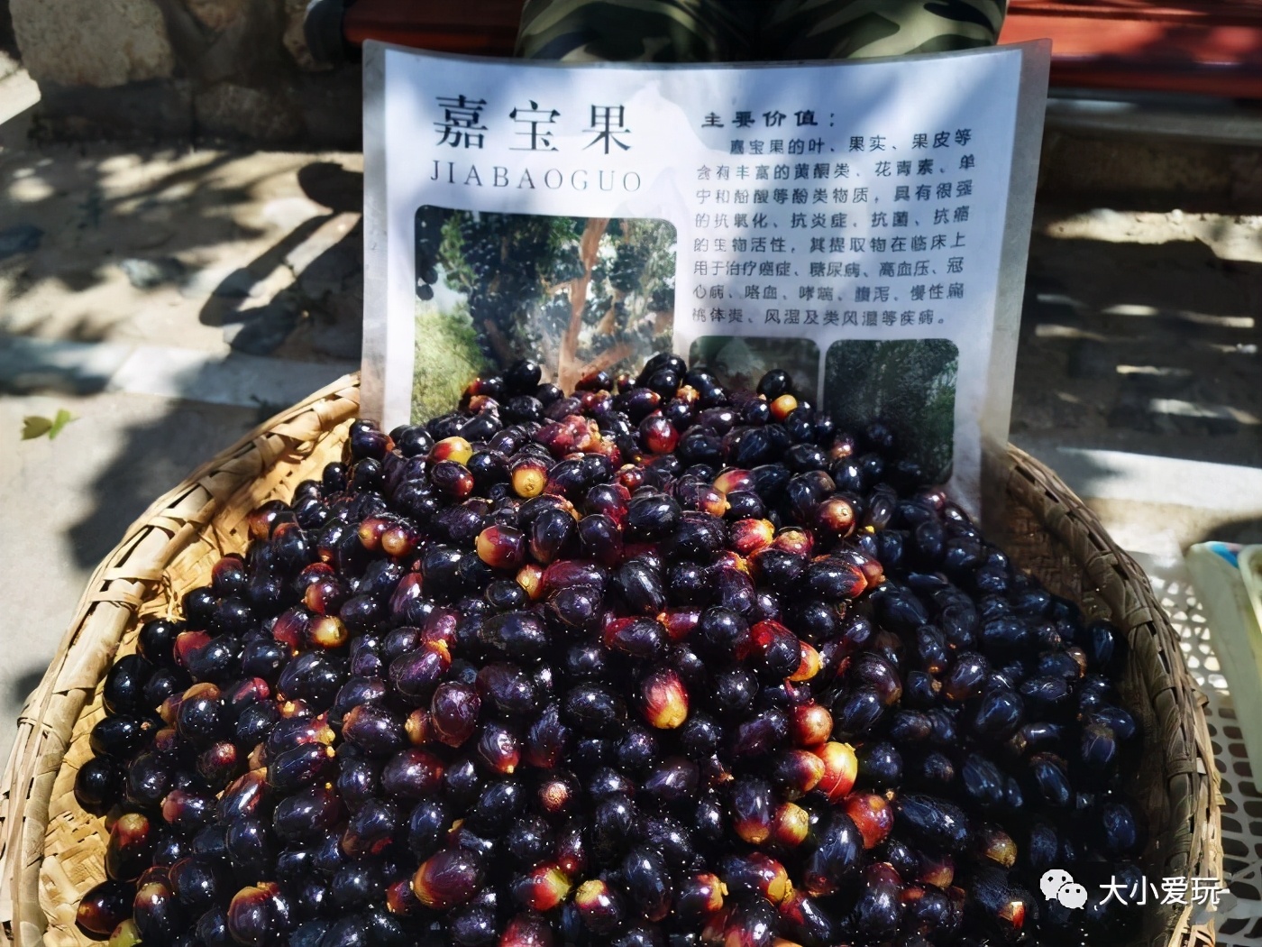 北京精品步道,北京最美十大登山步道