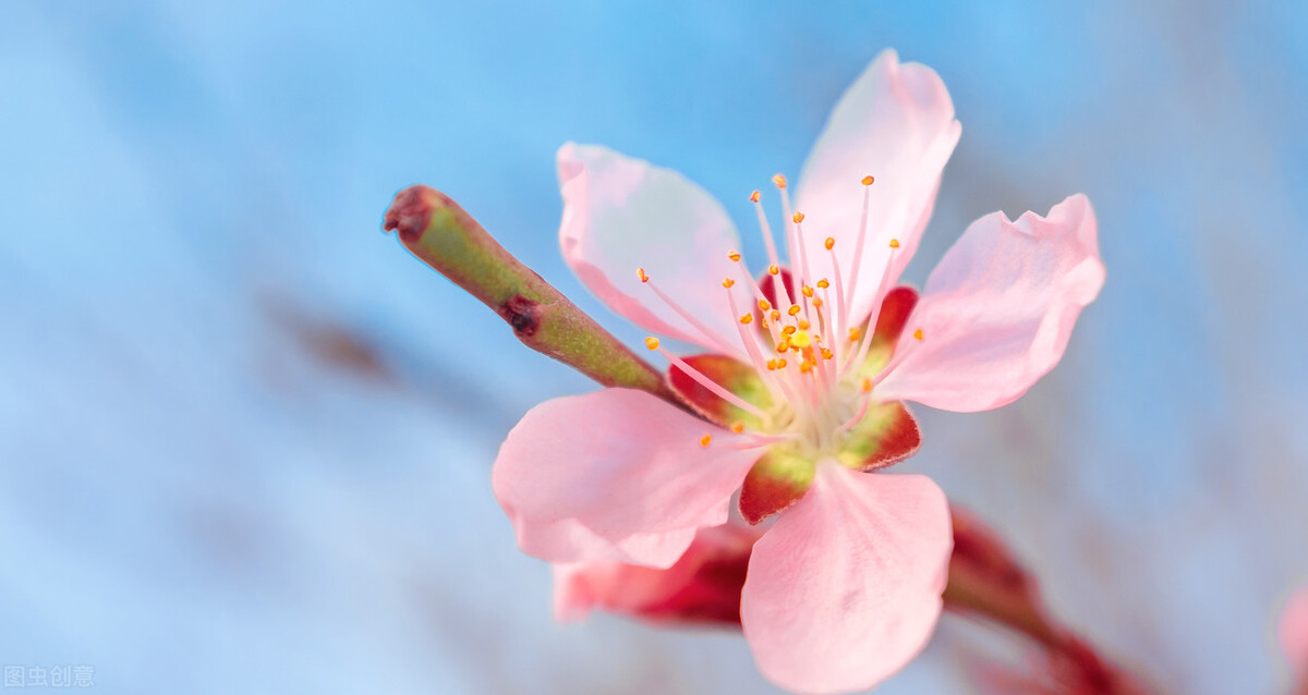 十二星座在班里谁谈爱谁喜欢你,十二星座怎样聊天才是真喜欢你
