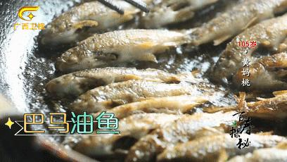 巴马长寿之乡候鸟老人,巴马为什么吸引成千上万的候鸟人