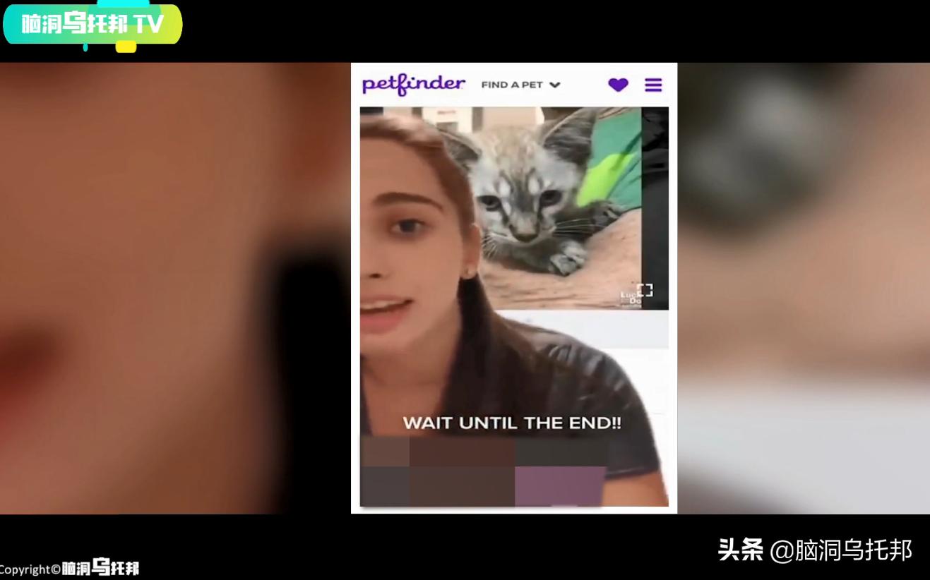 一款不该*载下**的超邪门手机APP，用意念连接现实后玩家有惊人发现