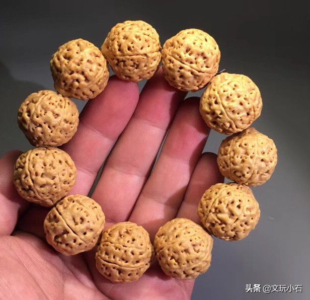 金刚菩提入门知识,新手必备,掌握了三言两语就能让别人刮目!