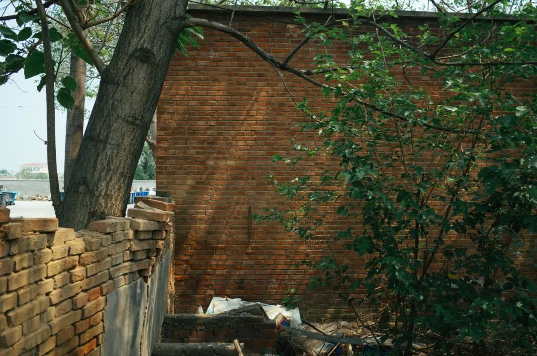 头痛短视频脚本如何创作？大V背后的5个方*论法**。