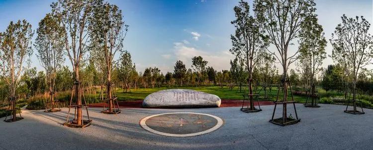 儿童乐园绿心公园,绿心公园儿童游乐区最新视频