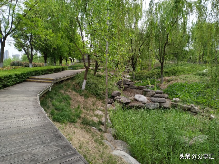 西安浐灞国家湿地公园近期航拍,西安浐灞国家湿地公园板块发展