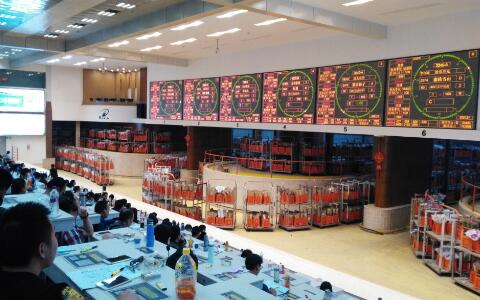 花从斗南来：每朵鲜花背后的故事