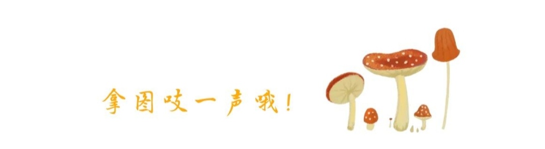 表情包：我现在的经济状况，找快递盒里好评返现的纸条。