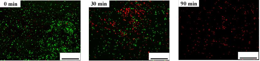 什么消毒液能杀耐药菌,污水处理是不是必用杀菌剂
